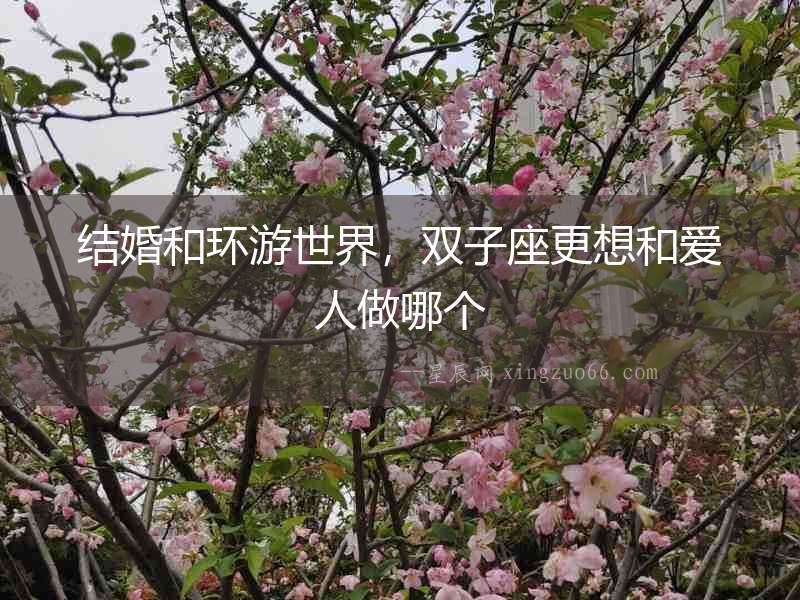結(jié)婚和環(huán)游世界，雙子座更想和愛人做哪個(gè)