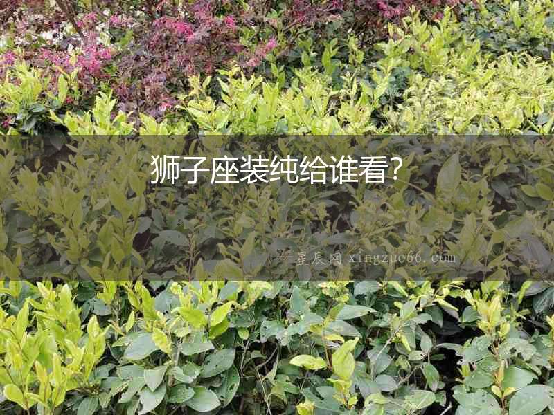獅子座裝純給誰看？