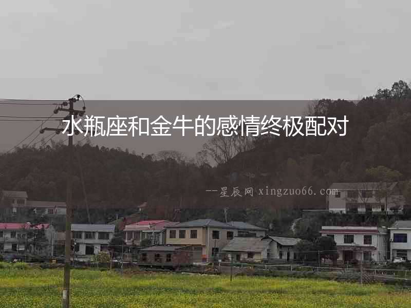 水瓶座和金牛的感情終極配對