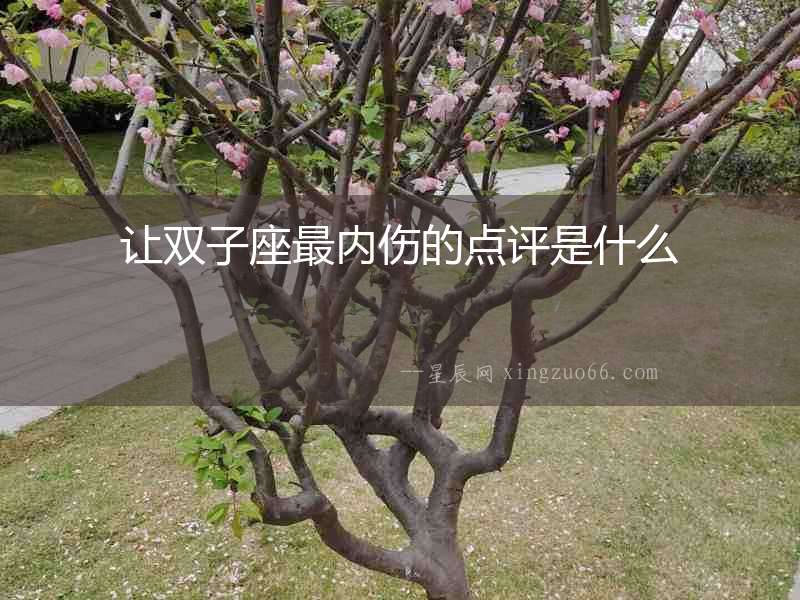 讓雙子座最內(nèi)傷的點(diǎn)評是什么