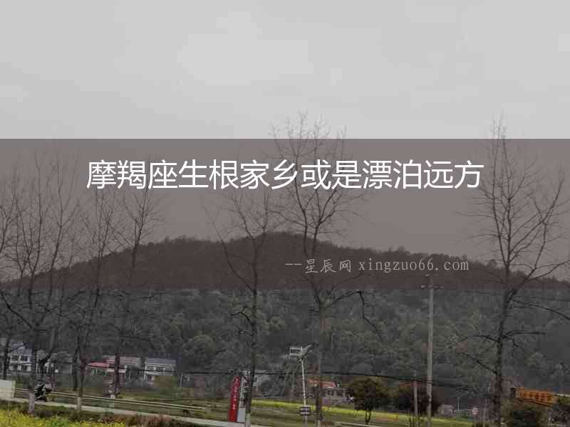 摩羯座生根家鄉(xiāng)或是漂泊遠(yuǎn)方