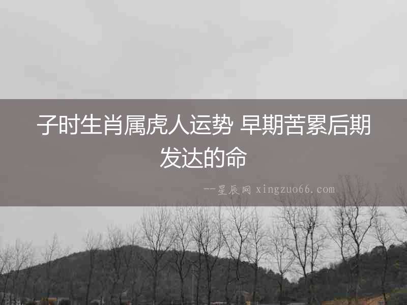 子時生肖屬虎人運勢 早期苦累后期發(fā)達的命