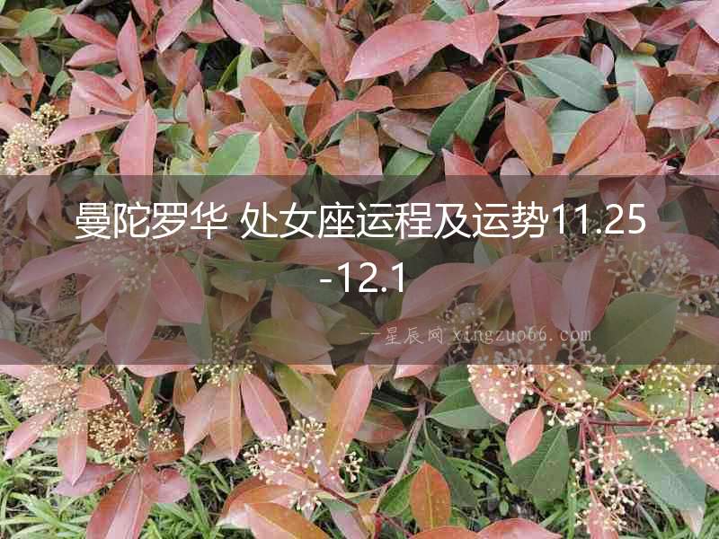 曼陀羅華 處女座運程及運勢11.25-12.1