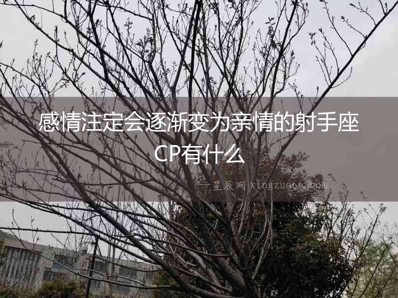 感情注定會逐漸變為親情的射手座CP有什么