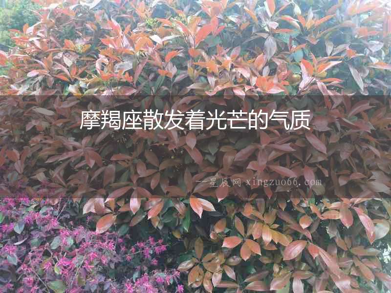 摩羯座散發(fā)著光芒的氣質(zhì)
