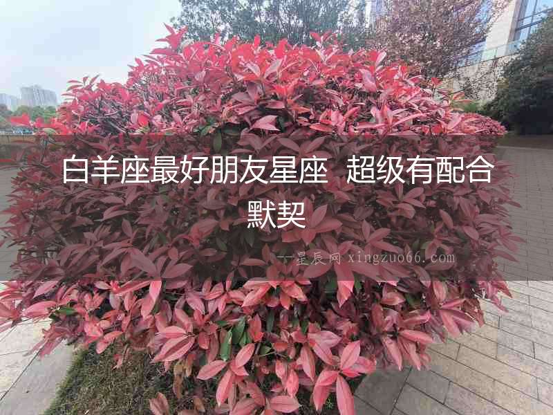 白羊座最好朋友星座  超級(jí)有配合默契