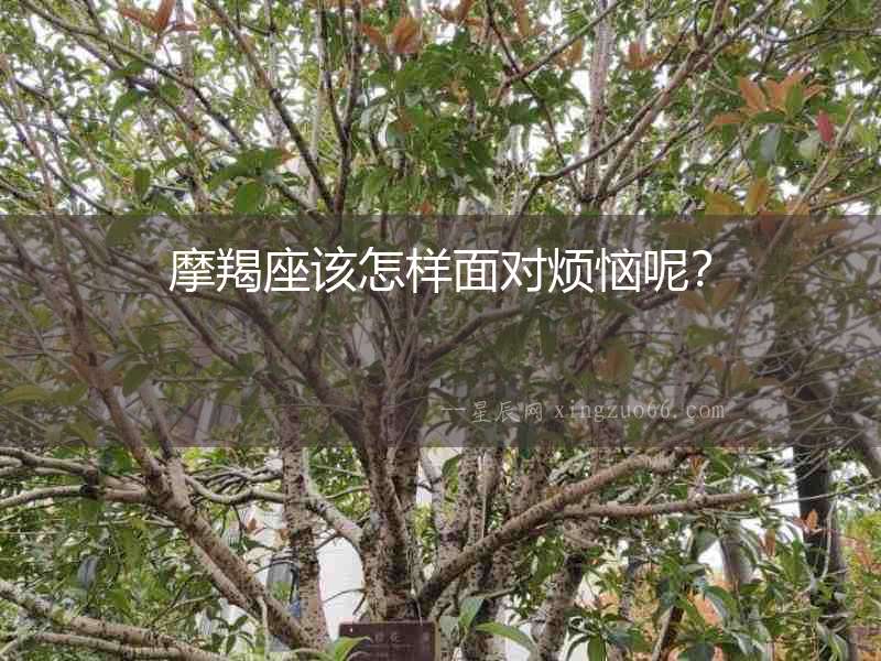 摩羯座該怎樣面對(duì)煩惱呢？