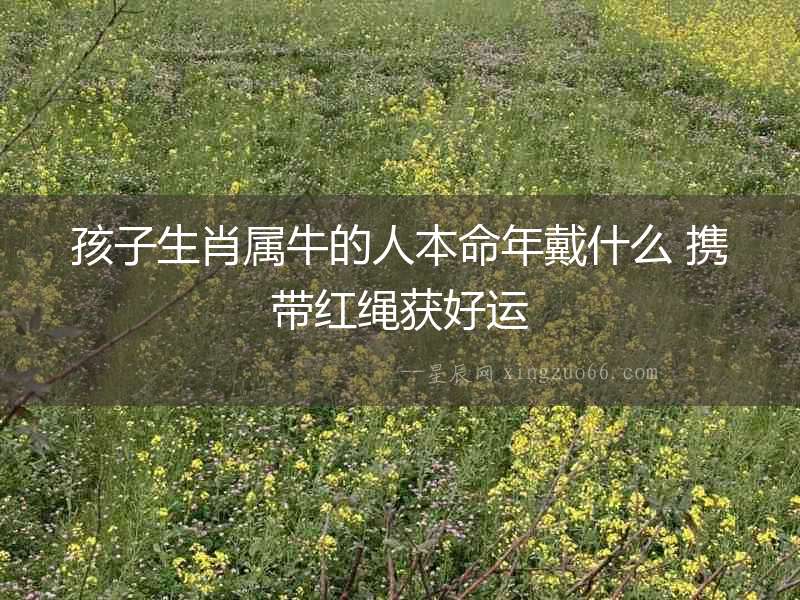 孩子生肖屬牛的人本命年戴什么 攜帶紅繩獲好運(yùn)