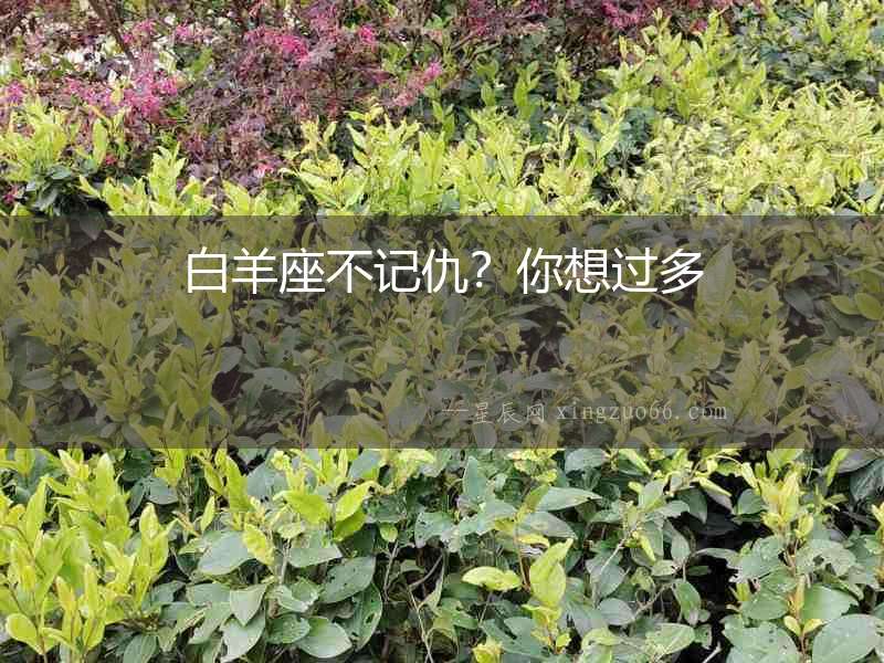 白羊座不記仇？你想過多