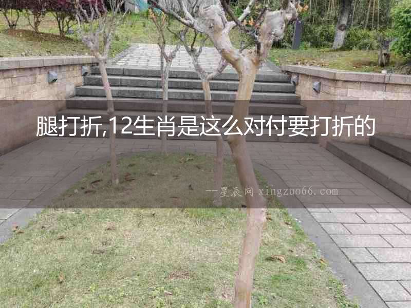 腿打折,12生肖是這么對付要打折的