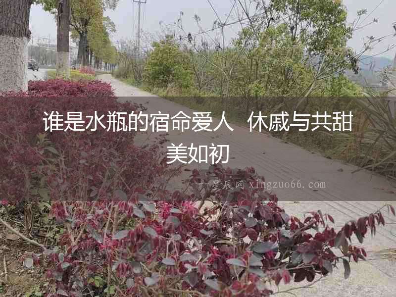 誰(shuí)是水瓶的宿命愛(ài)人  休戚與共甜美如初