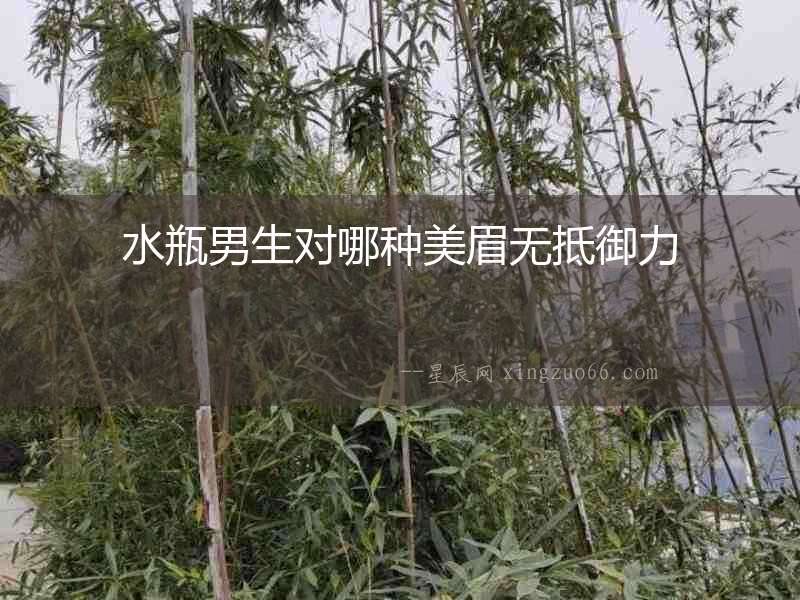 水瓶男生對哪種美眉無抵御力
