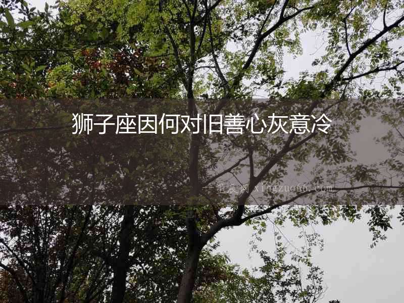 獅子座因何對(duì)舊善心灰意冷