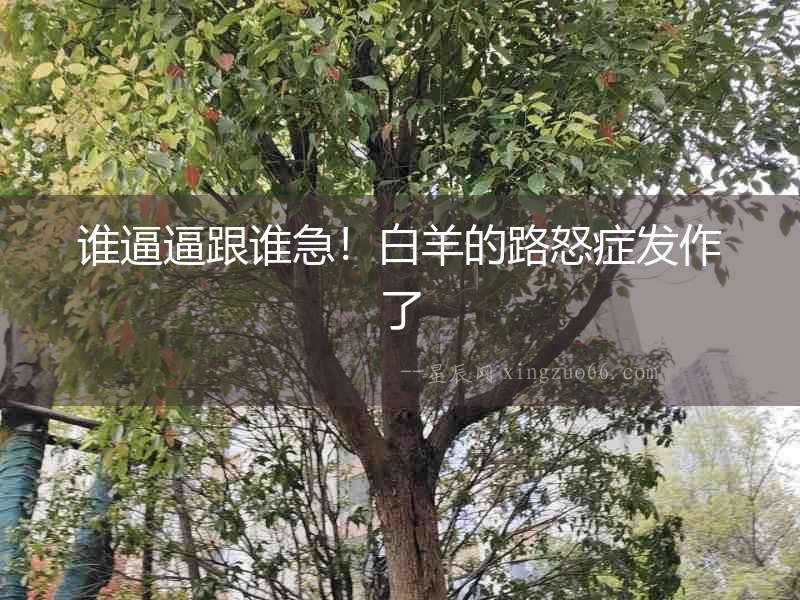 誰逼逼跟誰急！白羊的路怒癥發作了