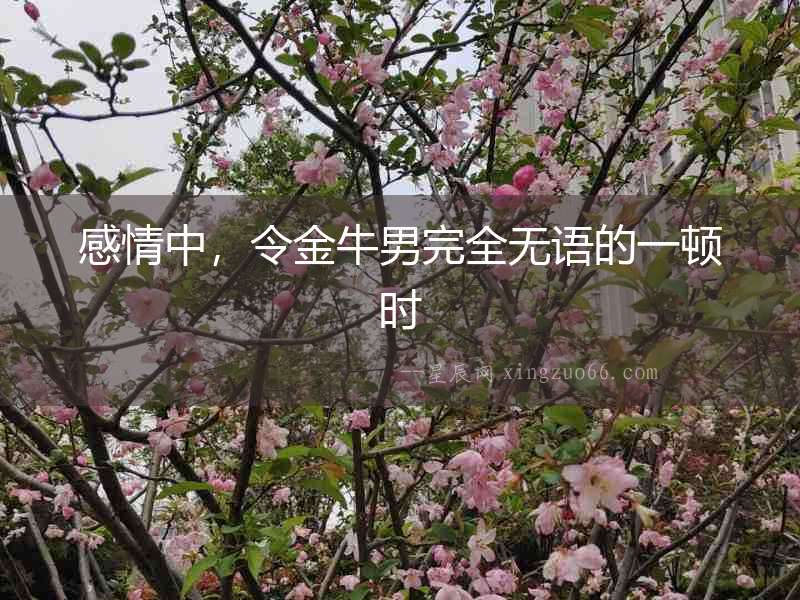 感情中，令金牛男完全無語的一頓時