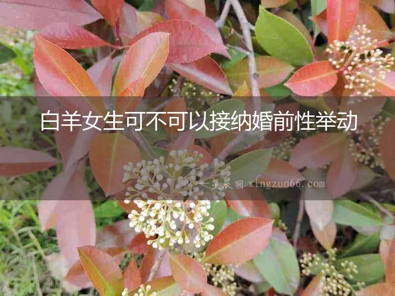 白羊女生可不可以接納婚前性舉動