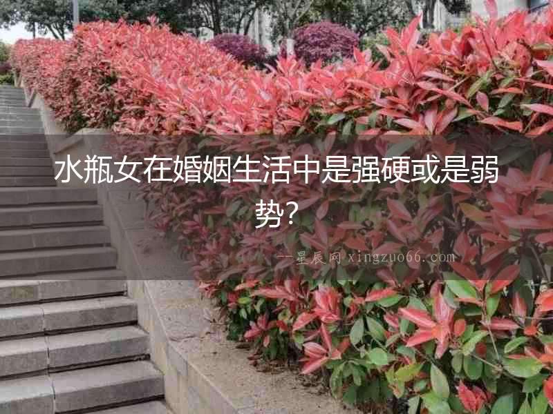 水瓶女在婚姻生活中是強硬或是弱勢？