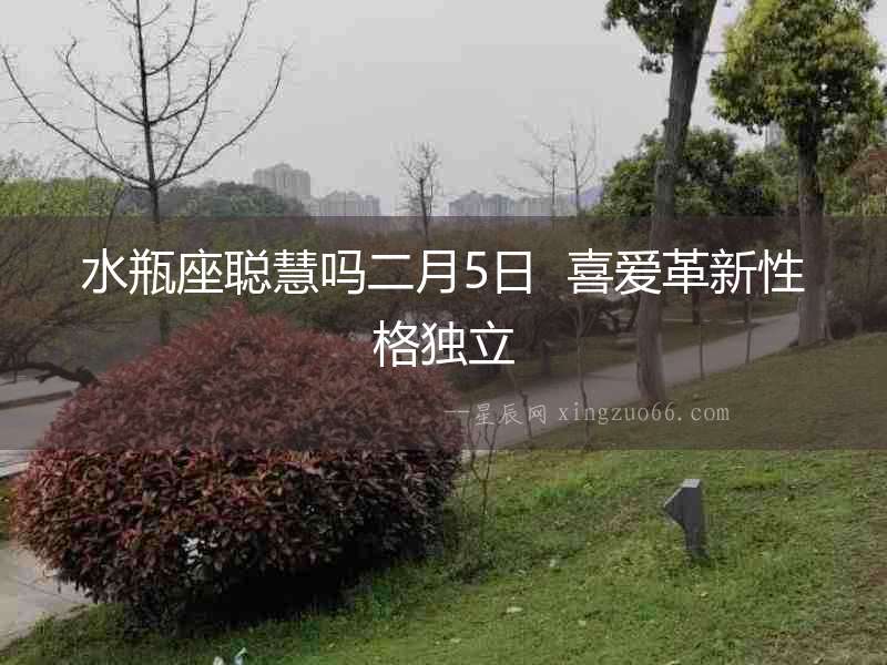 水瓶座聰慧嗎二月5日  喜愛革新性格獨立