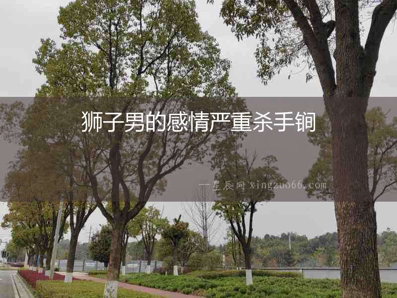 獅子男的感情嚴(yán)重殺手锏