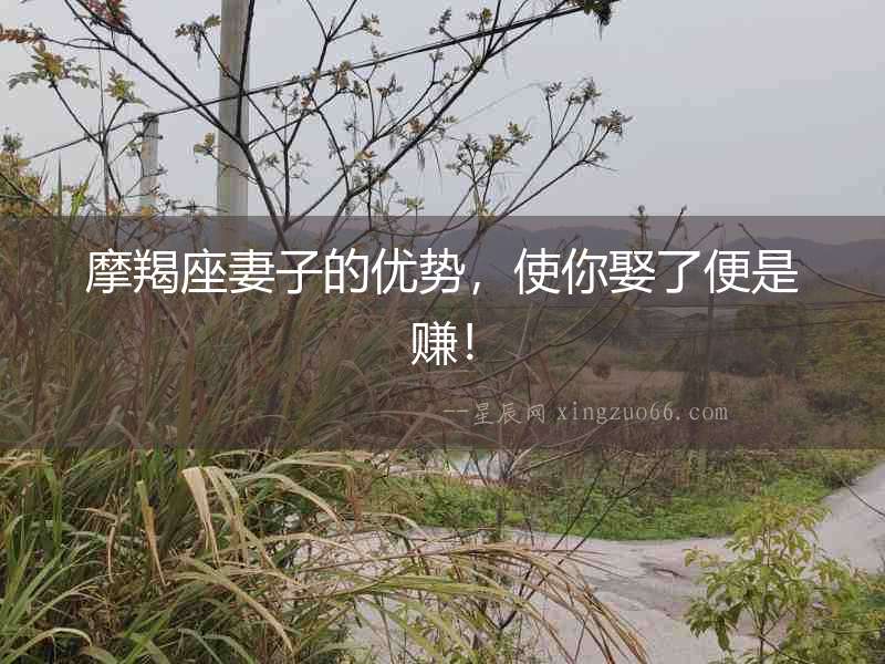 摩羯座妻子的優勢，使你娶了便是賺！