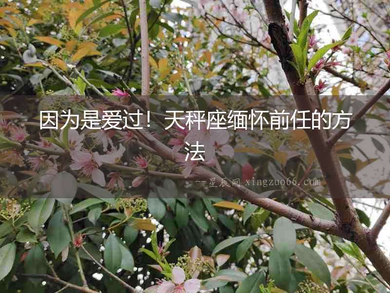 因為是愛過！天秤座緬懷前任的方法