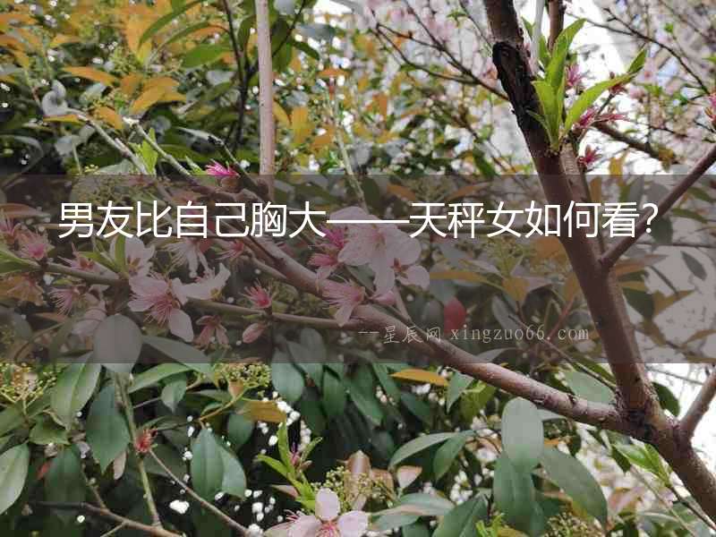 男友比自己胸大——天秤女如何看？