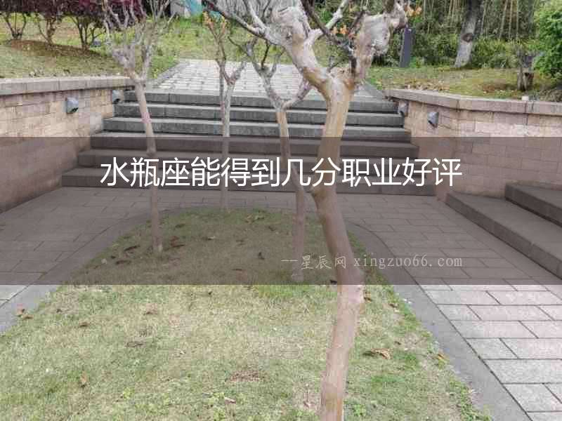 水瓶座能得到幾分職業好評