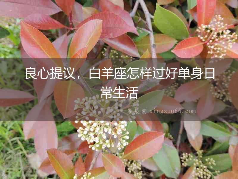 良心提議，白羊座怎樣過好單身日常生活
