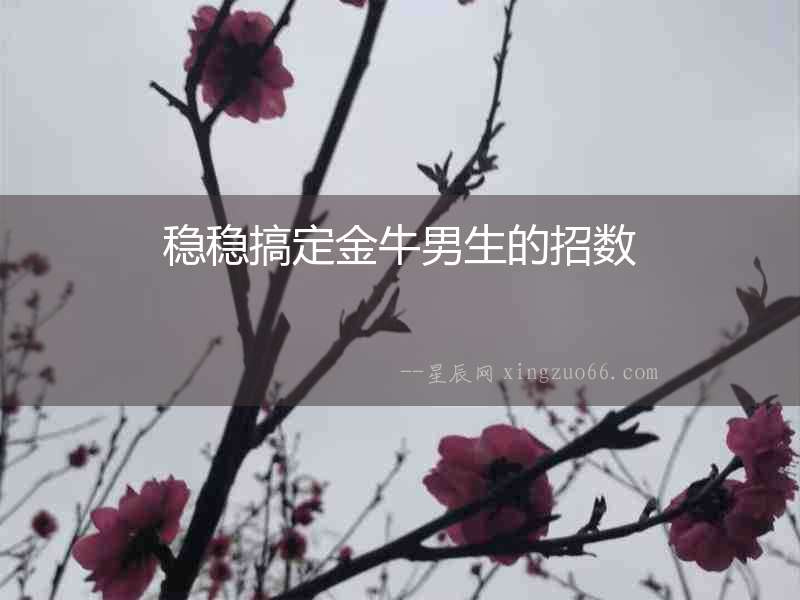 穩(wěn)穩(wěn)搞定金牛男生的招數(shù)