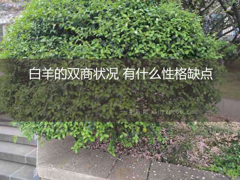 白羊的雙商狀況 有什么性格缺點(diǎn)
