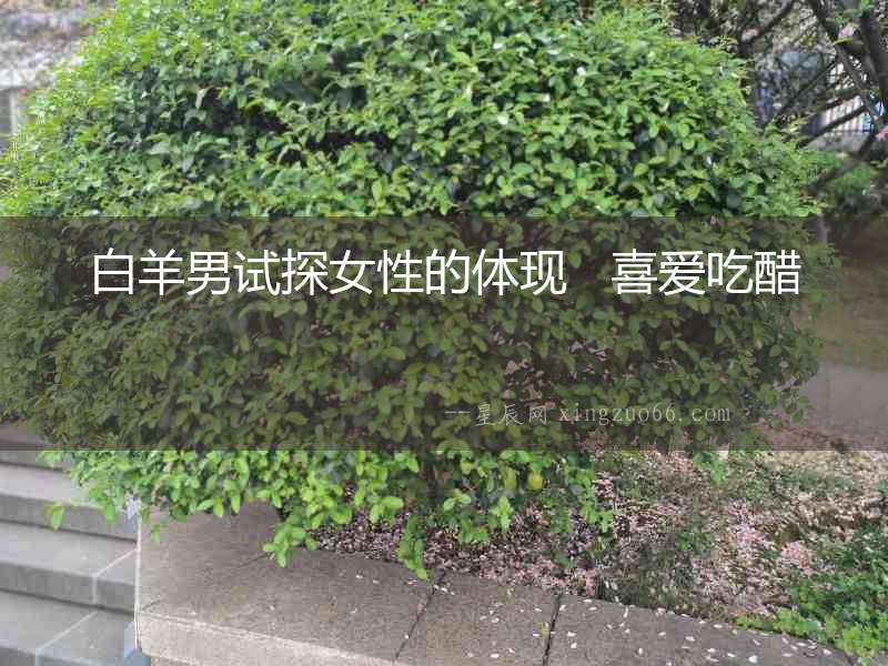 白羊男試探女性的體現   喜愛吃醋