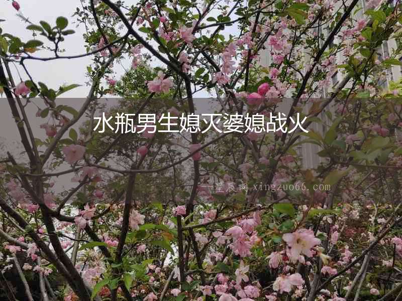 水瓶男生媳滅婆媳戰(zhàn)火