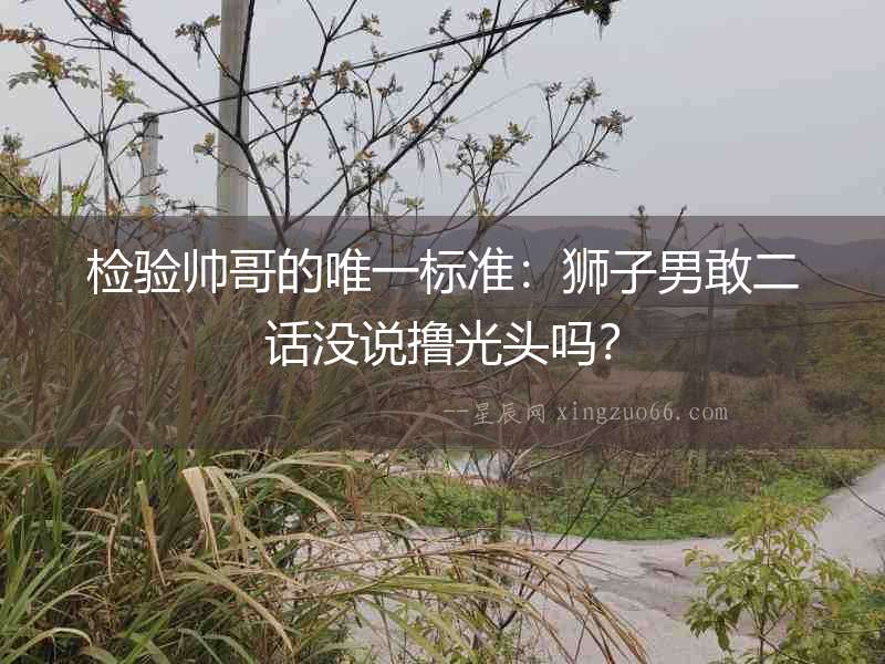 檢驗帥哥的唯一標準：獅子男敢二話沒說擼光頭嗎？