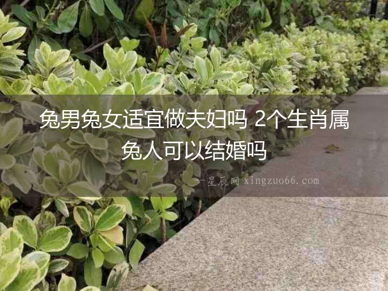 兔男兔女適宜做夫婦嗎 2個(gè)生肖屬兔人可以結(jié)婚嗎