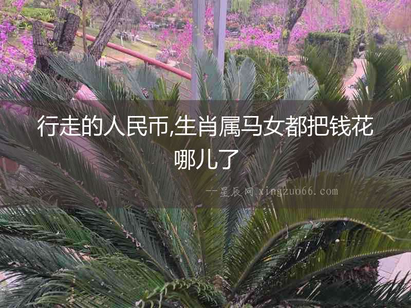 行走的人民幣,生肖屬馬女都把錢花哪兒了