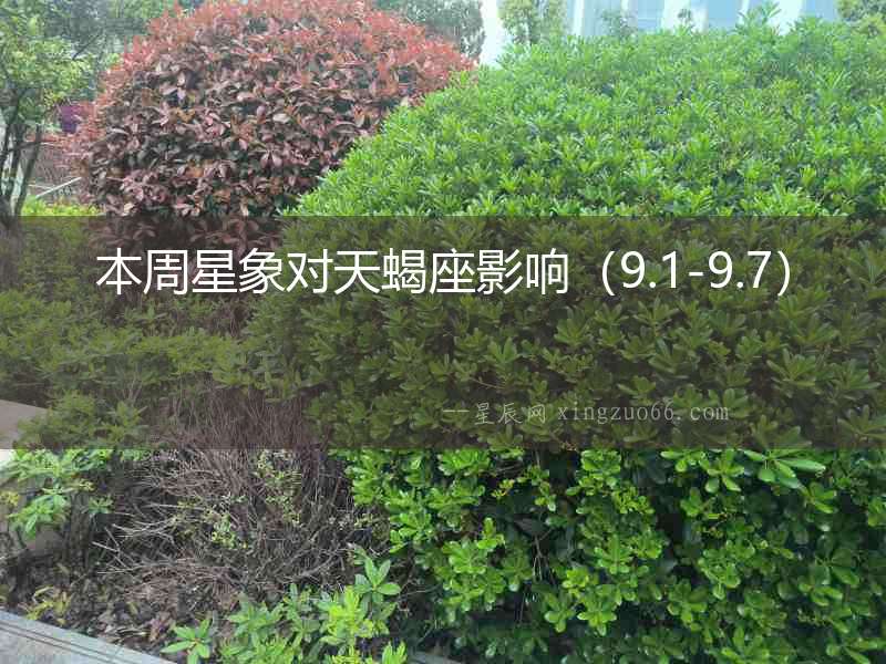 本周星象對天蝎座影響（9.1-9.7）