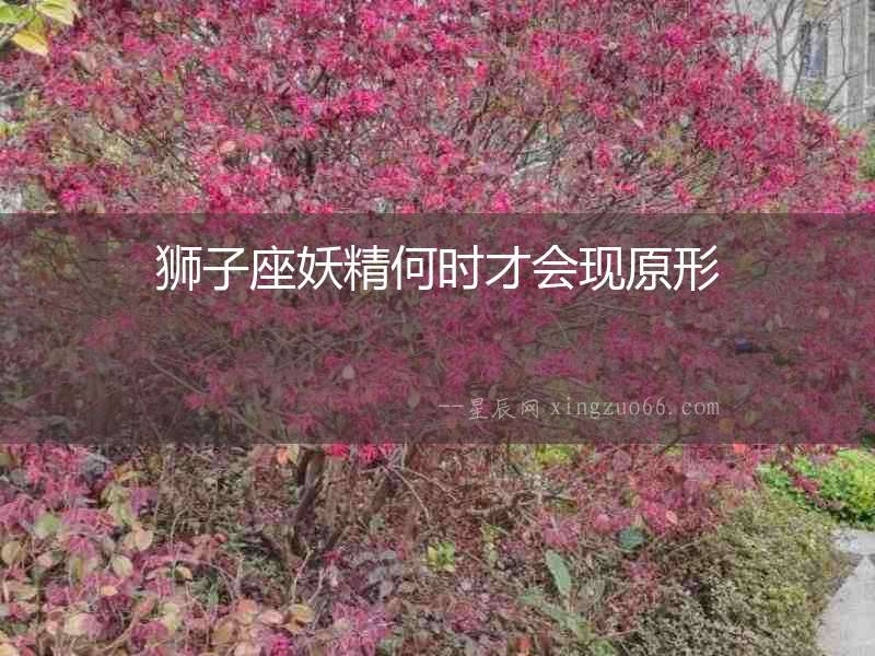 獅子座妖精何時才會現原形