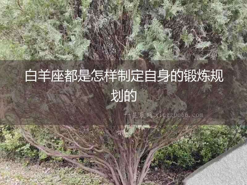 白羊座都是怎樣制定自身的鍛煉規劃的