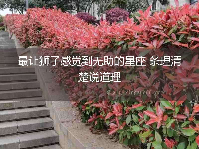 最讓獅子感覺到無助的星座 條理清楚說道理
