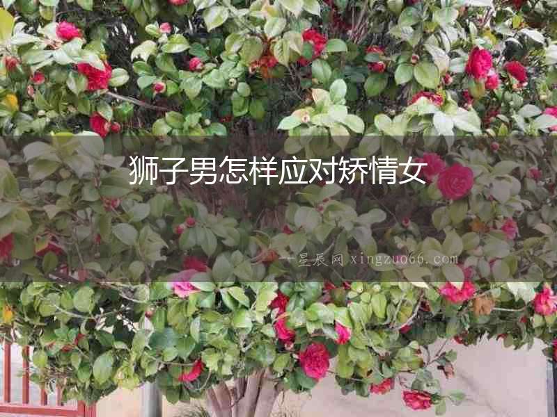 獅子男怎樣應對矯情女
