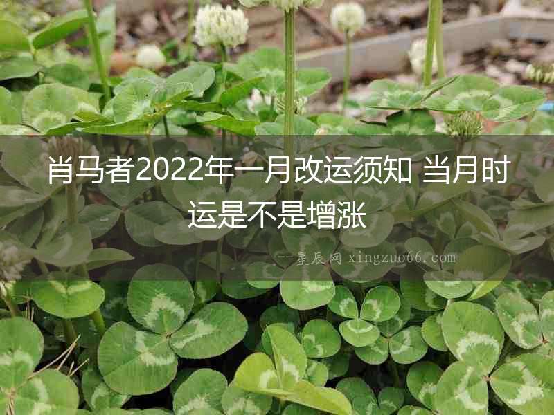 肖馬者2022年一月改運(yùn)須知 當(dāng)月時(shí)運(yùn)是不是增漲