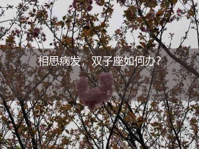 相思病發，雙子座如何辦？