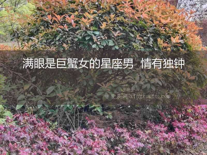 滿眼是巨蟹女的星座男  情有獨(dú)鐘