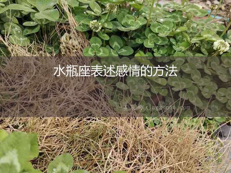 水瓶座表述感情的方法