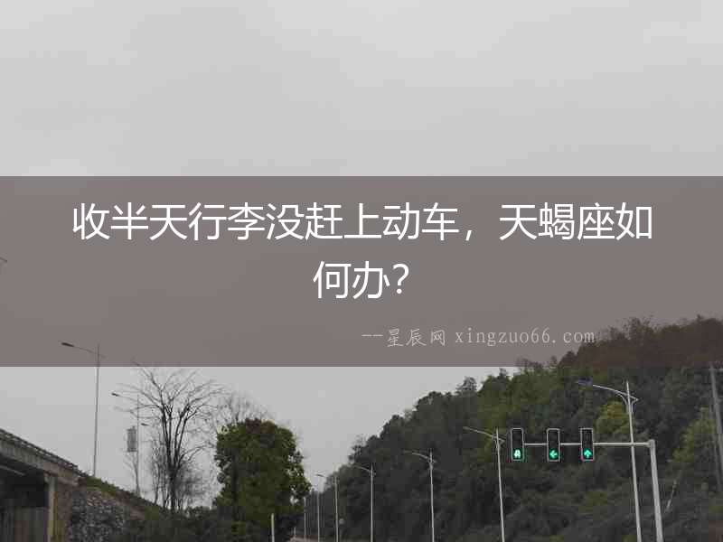 收半天行李沒趕上動(dòng)車，天蝎座如何辦？