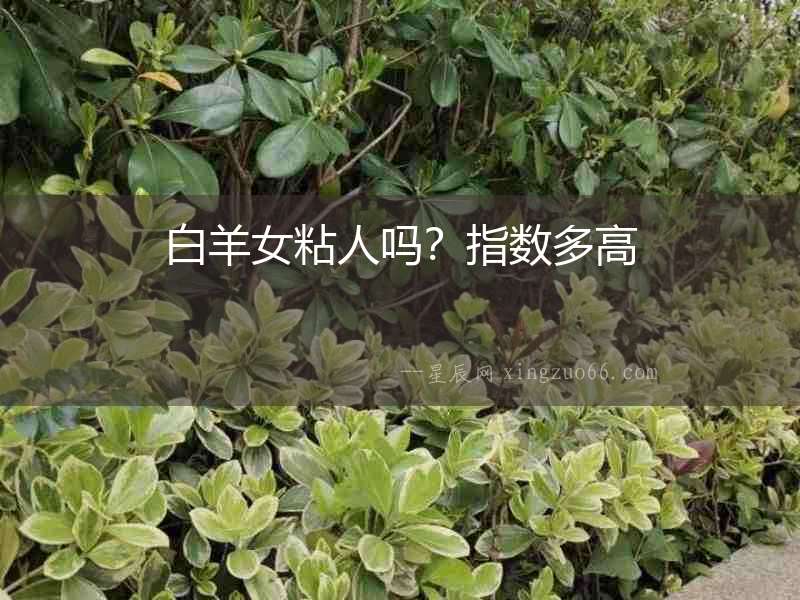 白羊女粘人嗎？指數(shù)多高