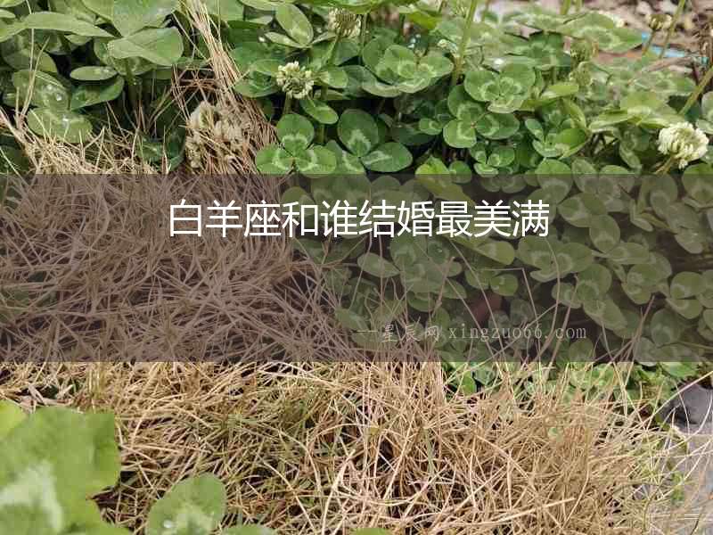 白羊座和誰結(jié)婚最美滿