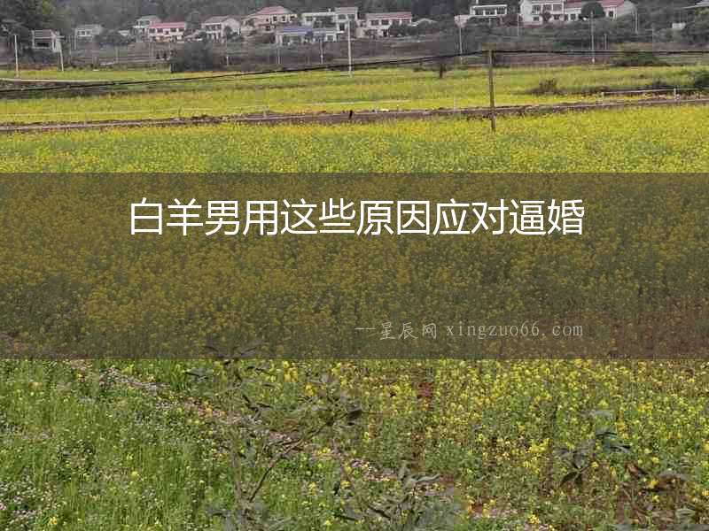 白羊男用這些原因應對逼婚