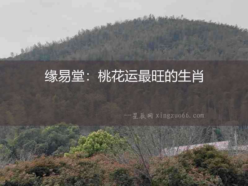 緣易堂：桃花運(yùn)最旺的生肖