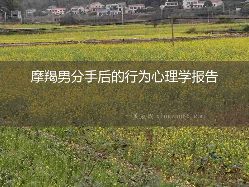 摩羯男分手后的行為心理學報告